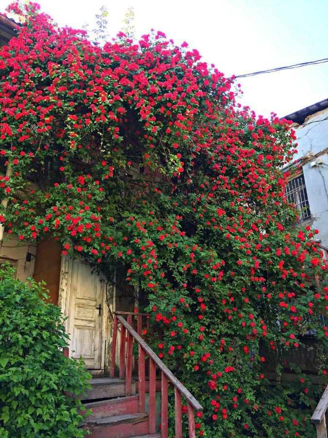 Apartment In Cozy Little Yard Tbilisi Buitenkant foto